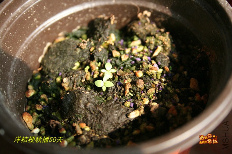 psb (1)_����.jpg