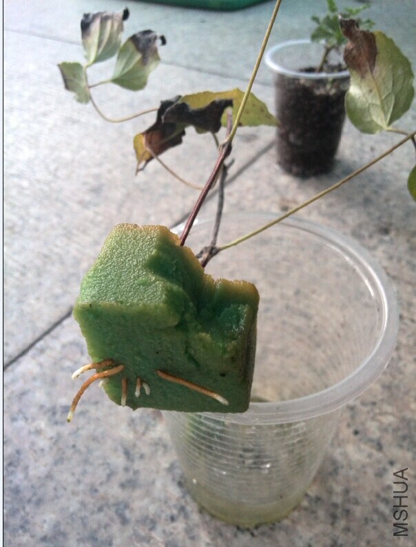 QQͼƬ20140612124731.jpg