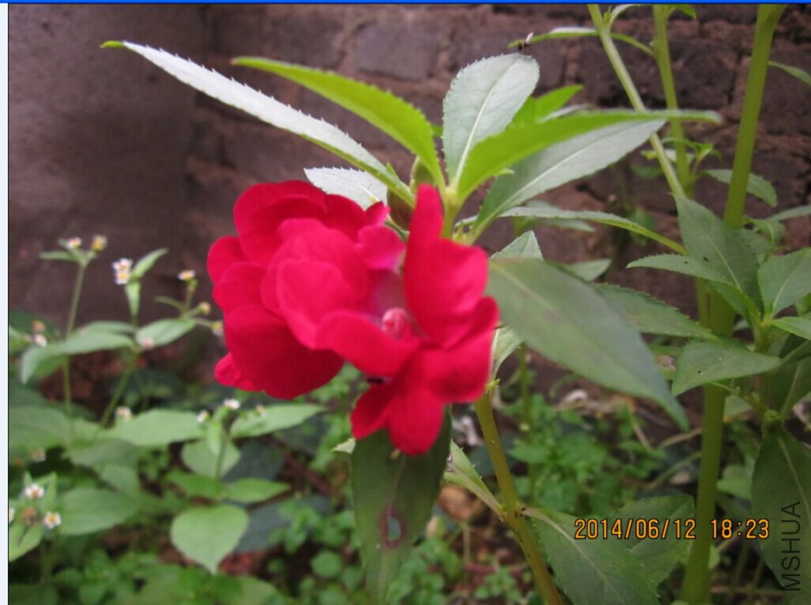 QQͼƬ20140612192431.jpg