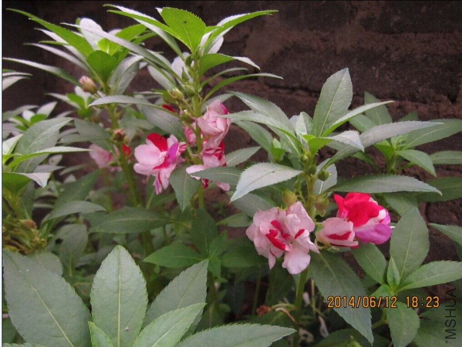 QQͼƬ20140612192434.jpg