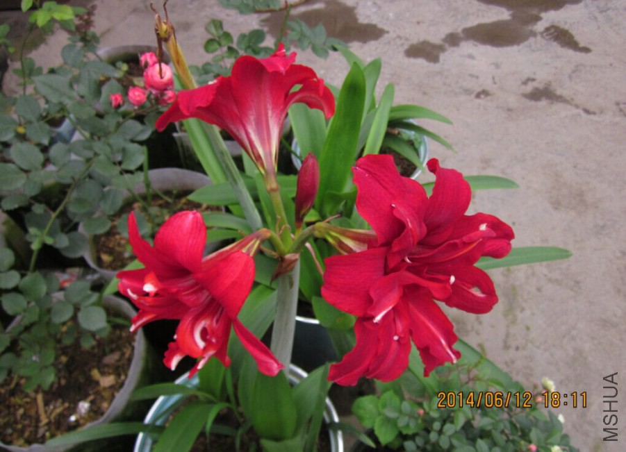 QQͼƬ20140612192650.jpg