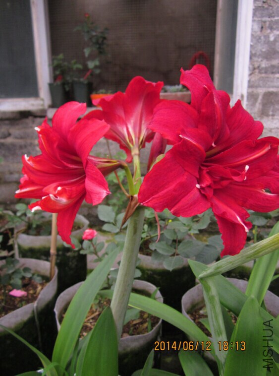 QQͼƬ20140612192653.jpg
