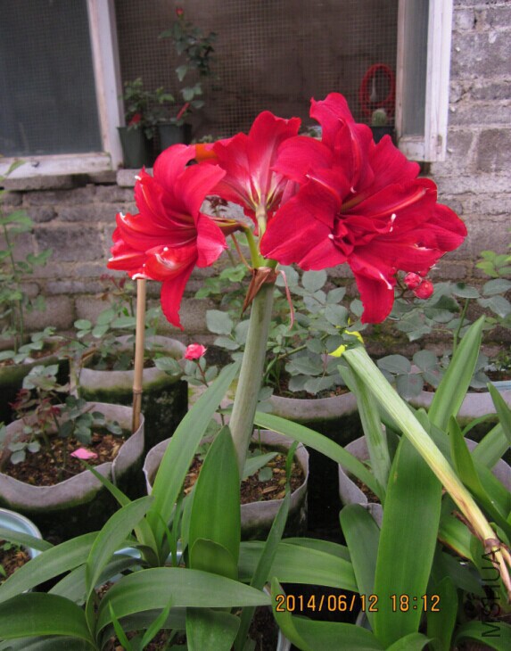 QQͼƬ20140612192656.jpg