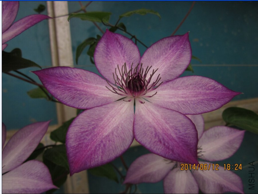 QQͼƬ20140612192901.jpg