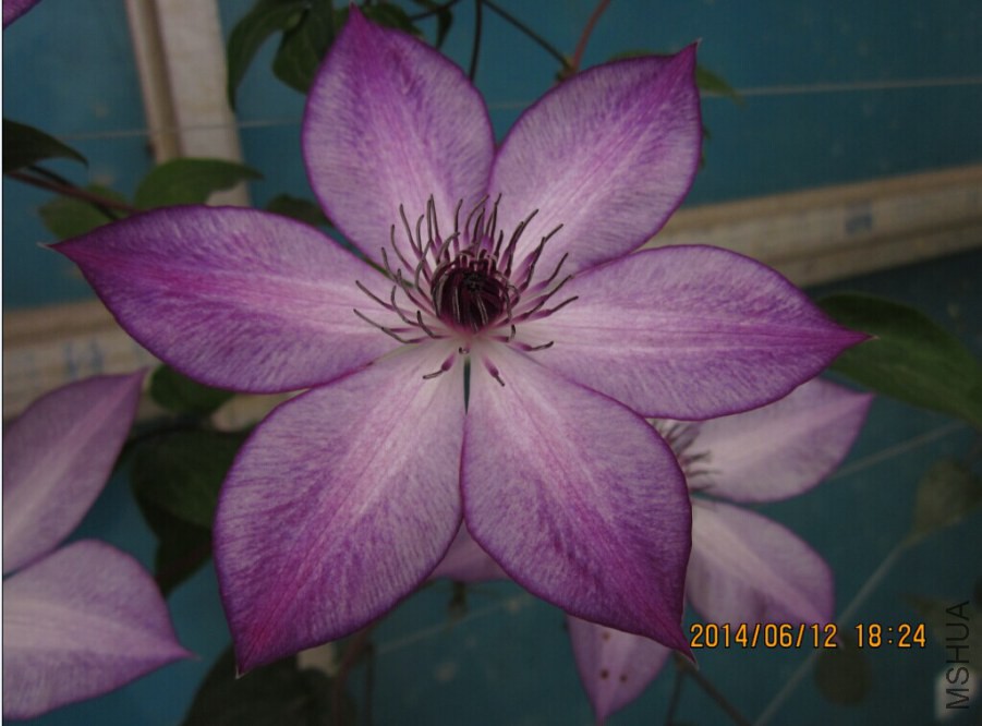QQͼƬ20140612192904.jpg