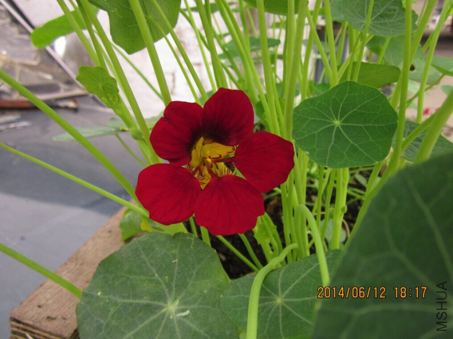 QQͼƬ20140612193759.jpg