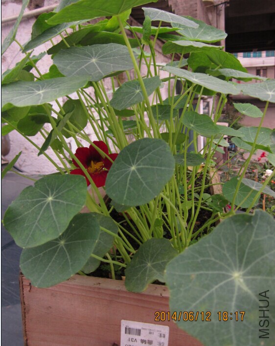 QQͼƬ20140612193802.jpg