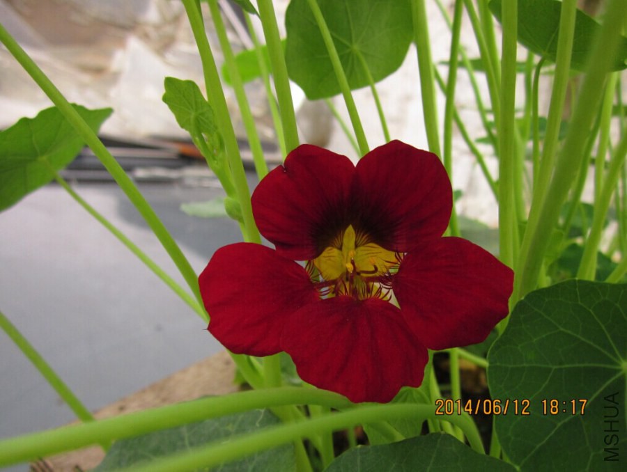 QQͼƬ20140612193811.jpg