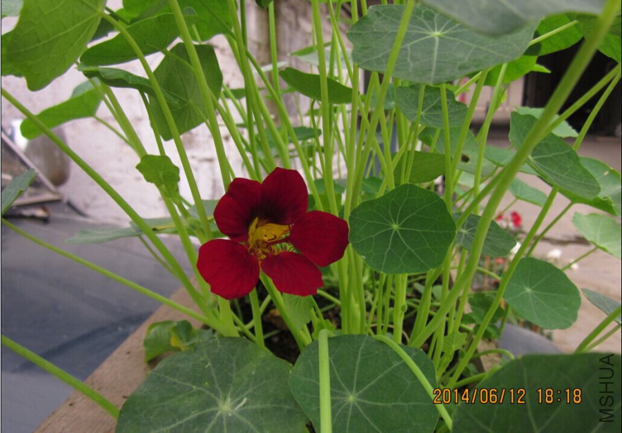 QQͼƬ20140612193816.jpg