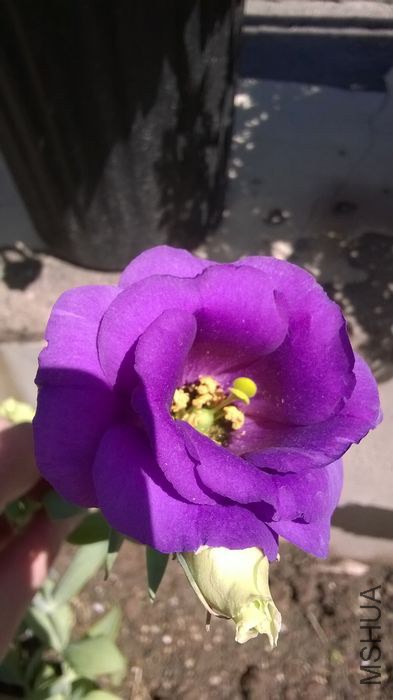 WP_20140607_022.jpg