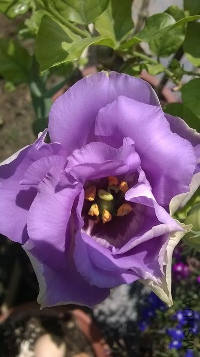 WP_20140609_004.jpg