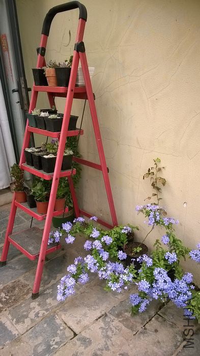 WP_20140606_016.jpg