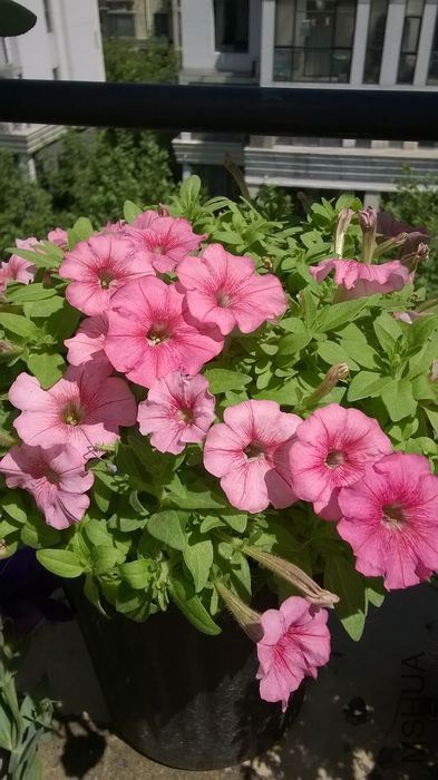 WP_20140607_021.jpg