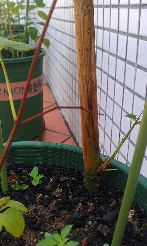 IMAG0373_����.jpg