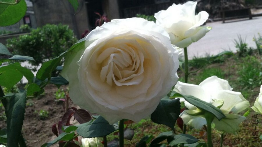 QQͼƬ20140613124329.jpg