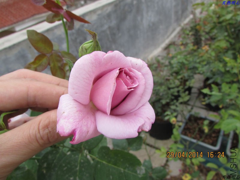 IMG_7476_nEO_IMG.jpg
