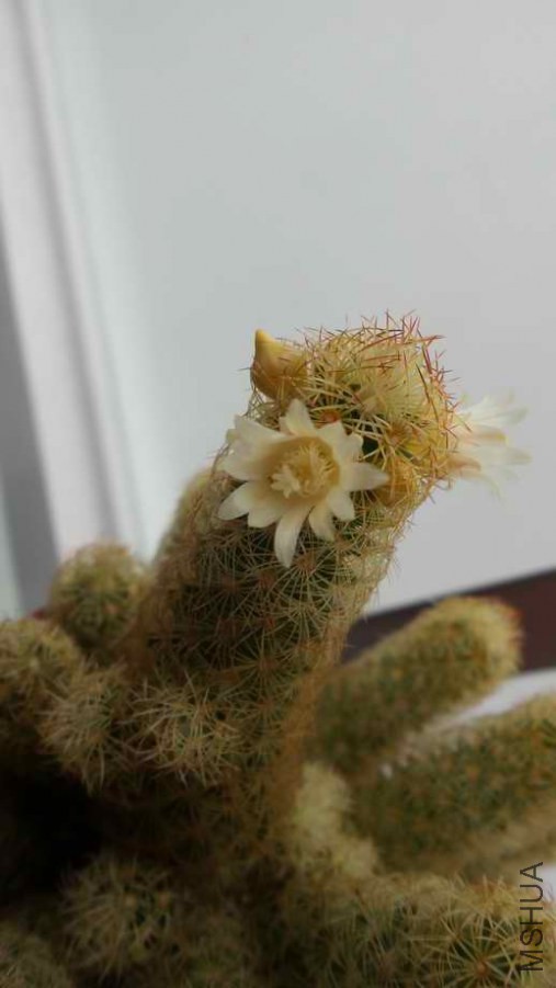 20140426_140959.jpg