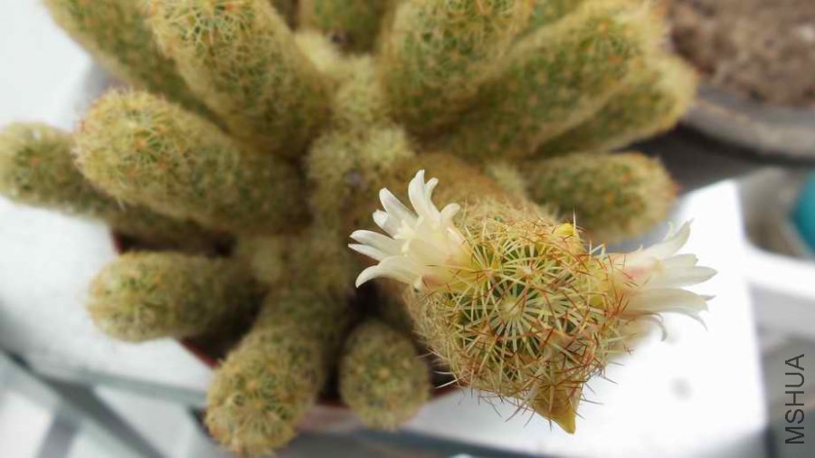 20140426_141027.jpg
