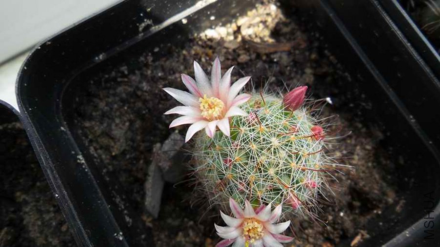 20140502_104416.jpg