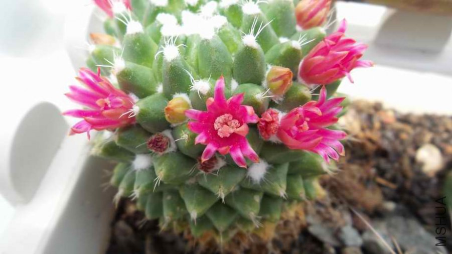 20140502_104428.jpg