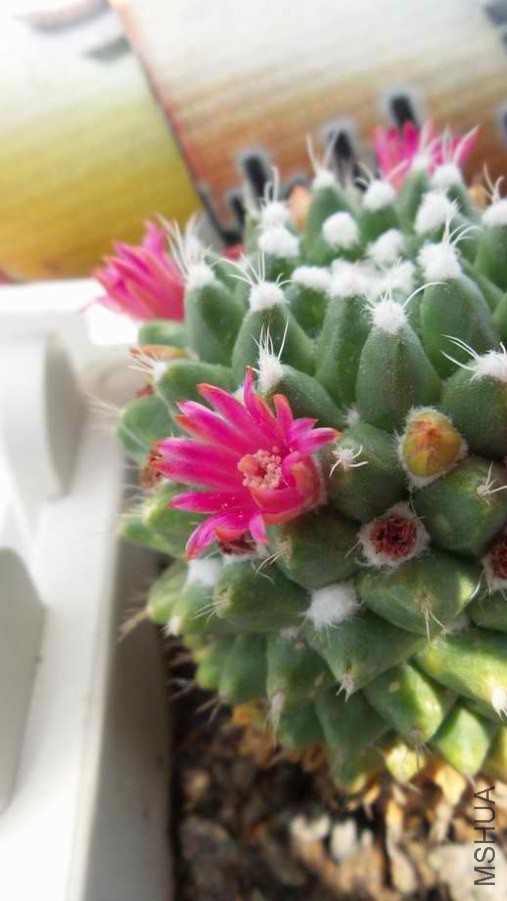 20140502_104450.jpg