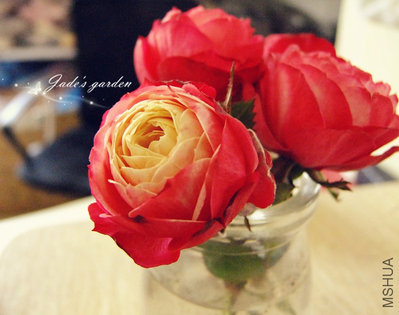 DSCF3865.jpg