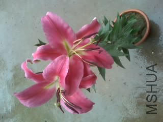 14-06-14_1115.jpg