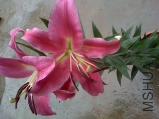 14-06-14_1111.jpg