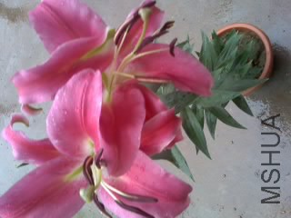 14-06-14_1110.jpg