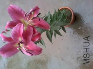 14-06-14_1113.jpg