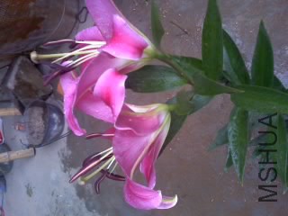 14-06-14_1114.jpg