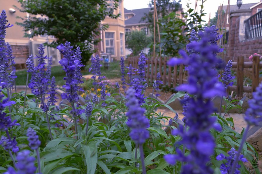 P1020523.JPG