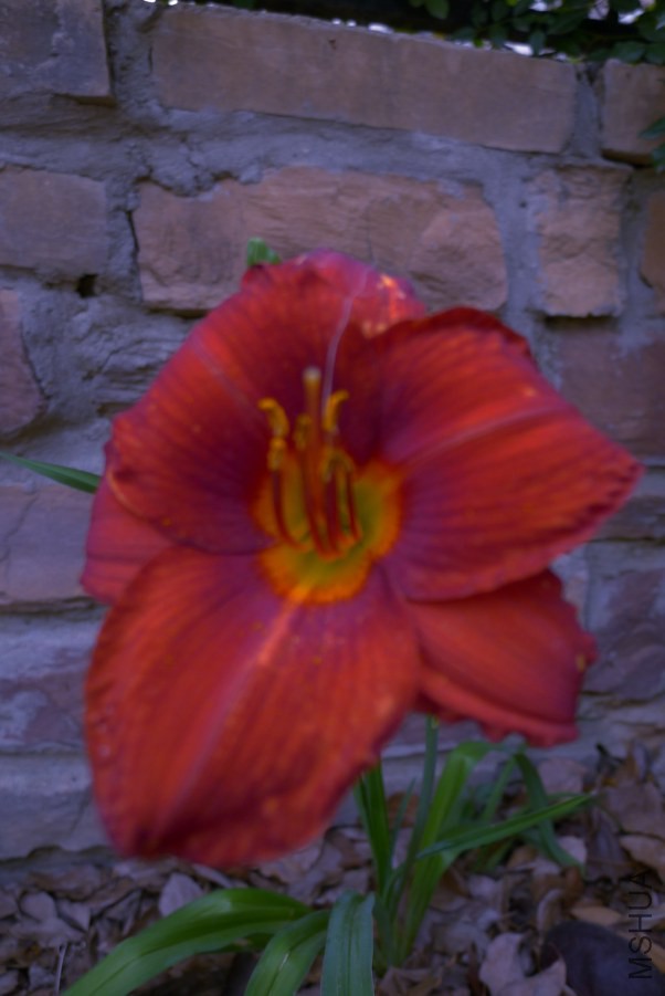 P1020524.JPG