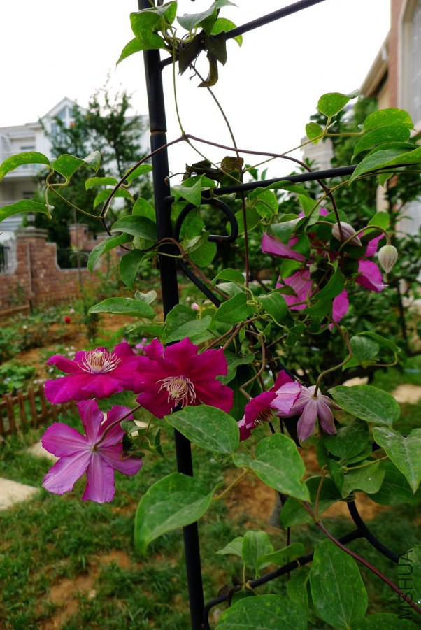 P1020517.JPG