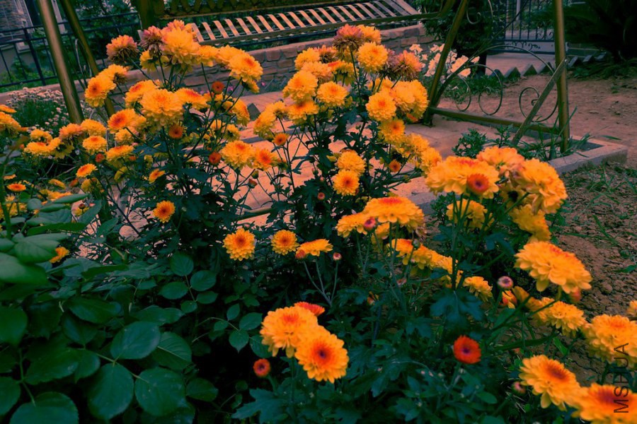 P1020503.JPG