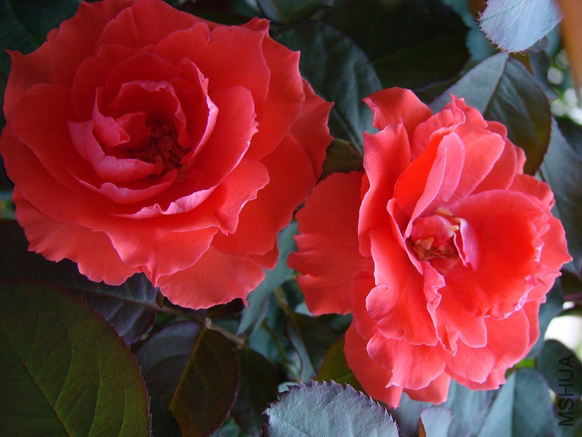 2.JPG