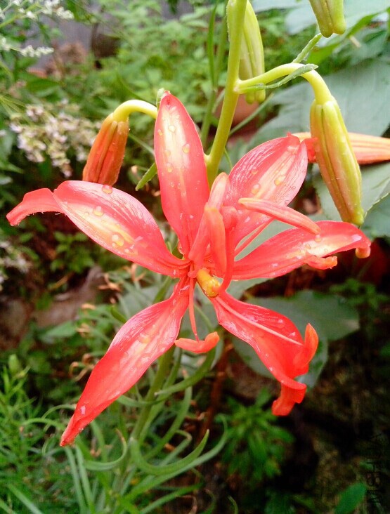 QQͼƬ20140614203334.jpg