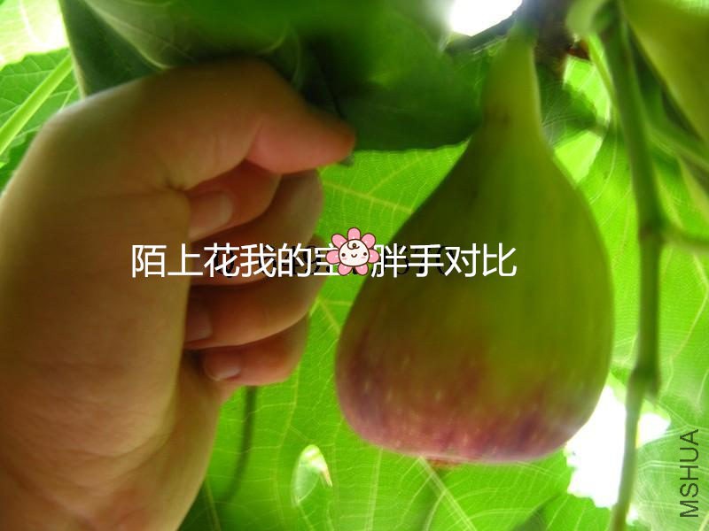 103031c0yjojyjevwmy0tz.jpg