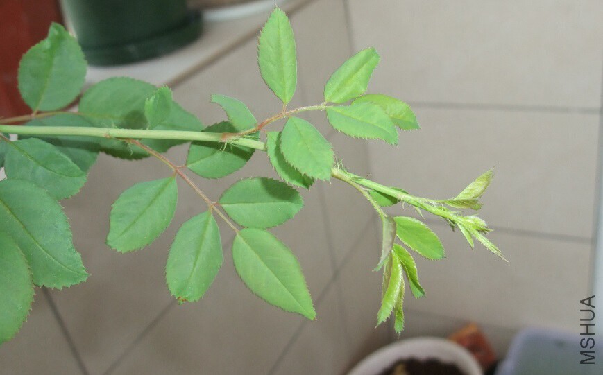 ��Ҳ����һ���ܺ������صĲ�֪���¼�����ѿ�Ѿ��ܺ��ˡ�