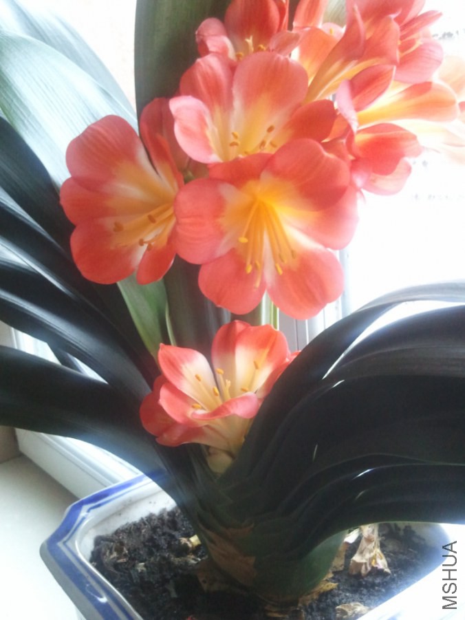 2014-01-21 07.28.28_1.jpg