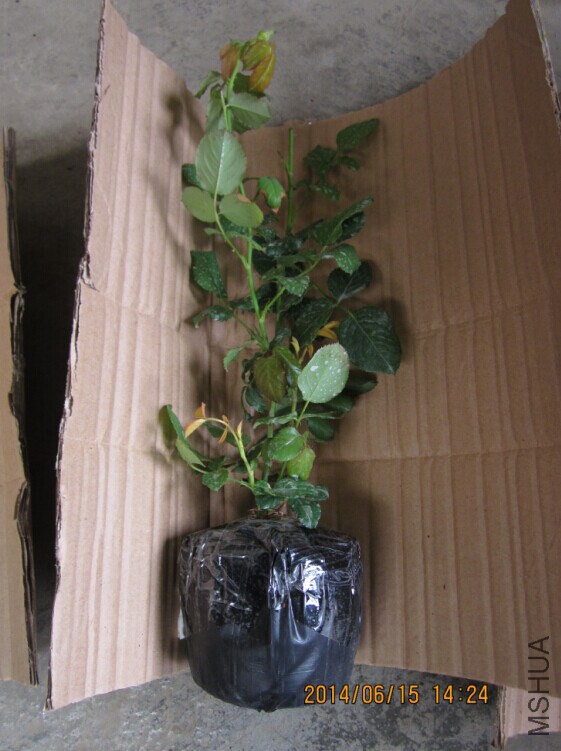 QQͼƬ20140615145511.jpg
