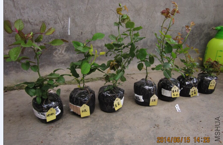 QQͼƬ20140615145513.jpg