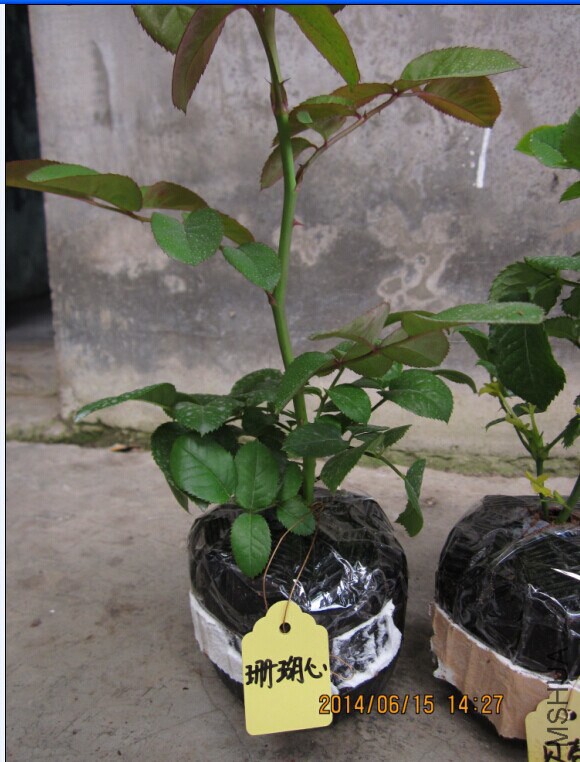QQͼƬ20140615145516.jpg