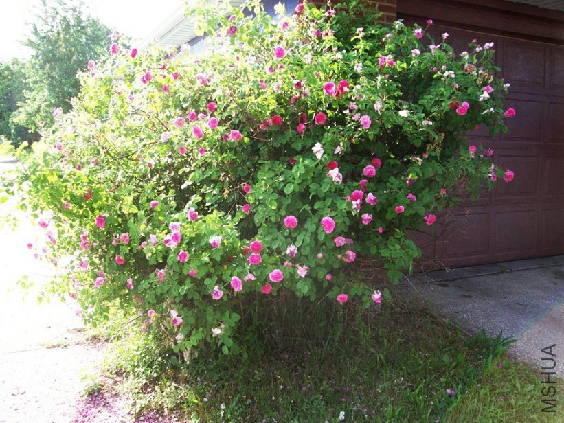 000_5741.JPG