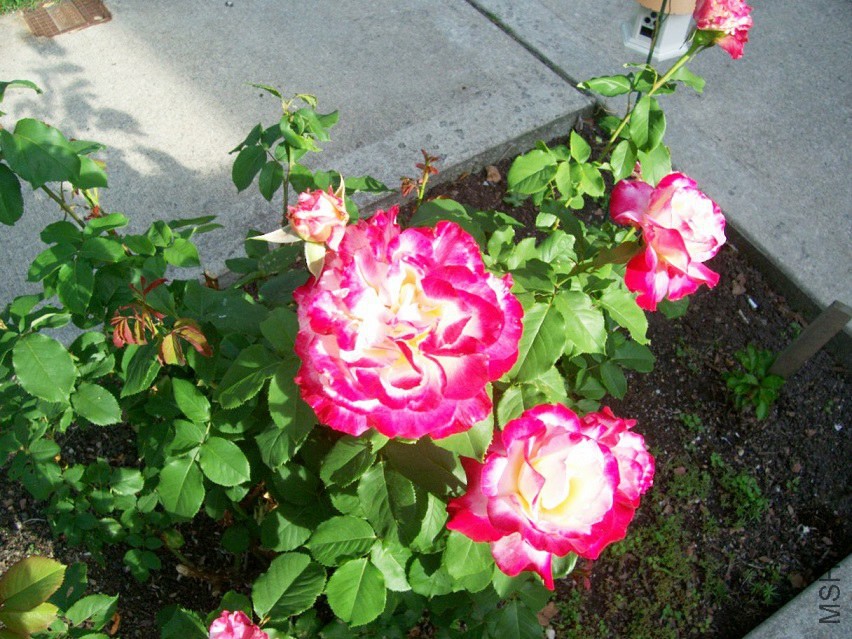 000_5746.JPG