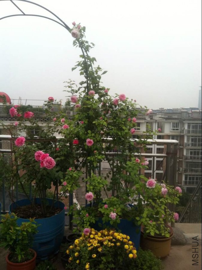 QQͼƬ20140616110600.jpg