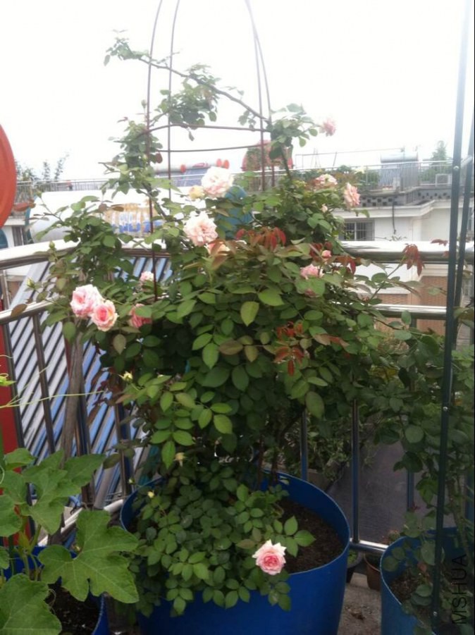 QQͼƬ20140616110611.jpg