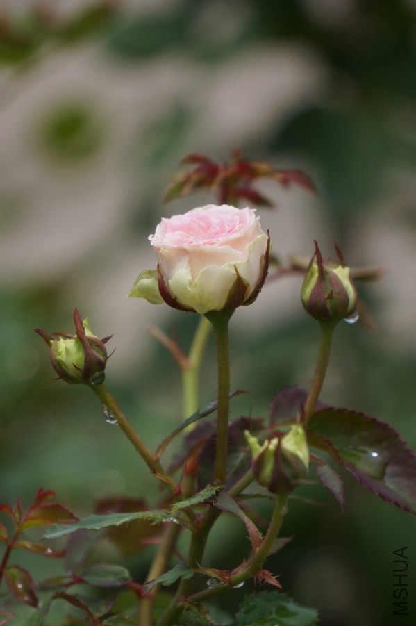 DSC01406.JPG