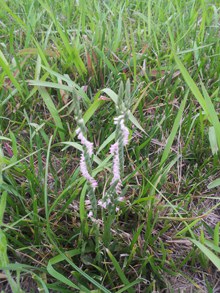 20140531_172434.jpg