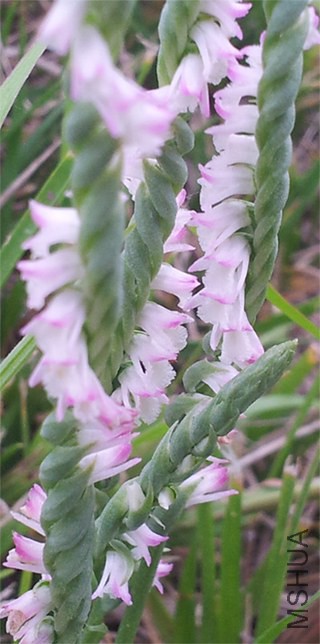 20140531_172448.jpg